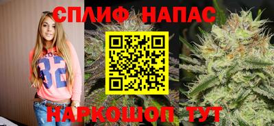 спайс Малгобек