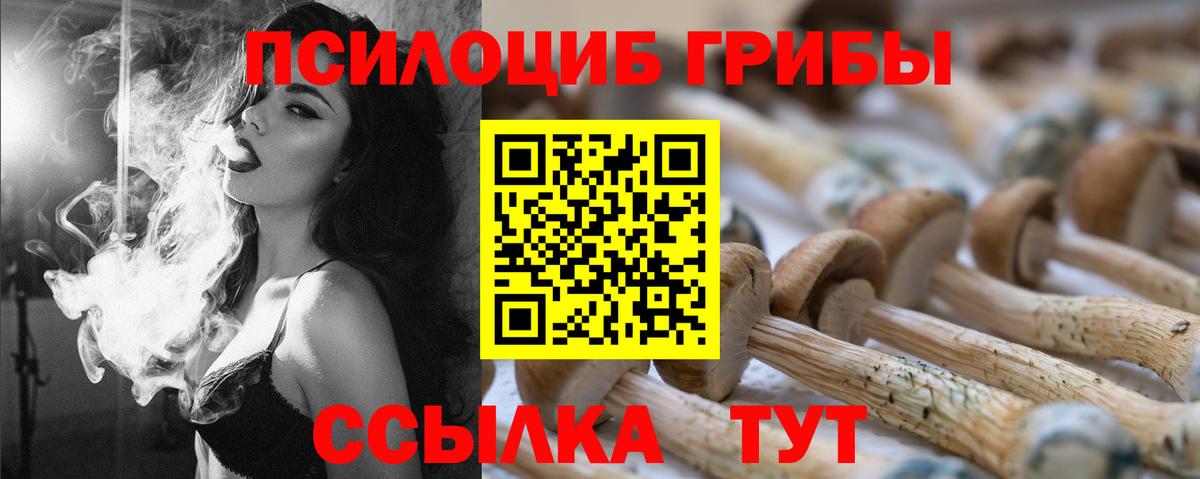 Южно-Сахалинск  Псилоцибиновые грибы мицелий  Вход с VPN 